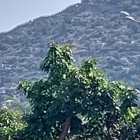200 Meters From The Beach In The Center Of Alanya Alanya
